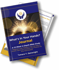 What's In Your Hands? - Journal - eBook